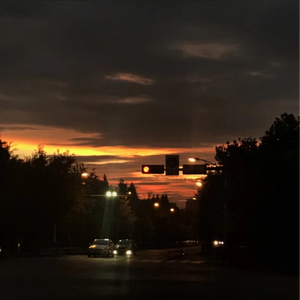 做爱视频小黄片
